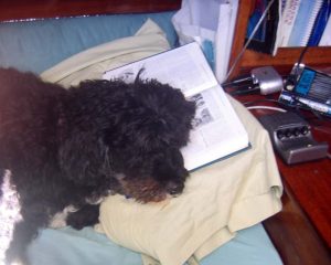 Fall asleep reading